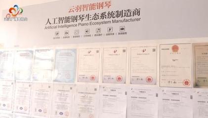 銀發創業傳奇 傾盡家產鑄琴魂，兩年破兩億的跨界逆襲